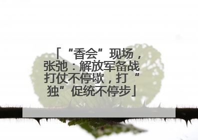 “香会”现场，张弛：解放军备战打仗不停歇，打“独”促统不停步