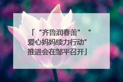 “齐鲁润春蕾”“爱心妈妈续力行动”推进会在邹平召开