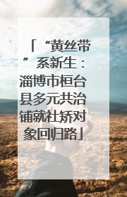 “黄丝带”系新生：淄博市桓台县多元共治铺就社矫对象回归路