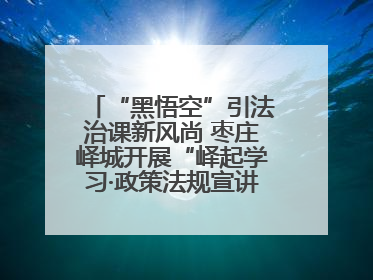 “黑悟空”引法治课新风尚 枣庄峄城开展“峄起学习·政策法规宣讲面对面”活动