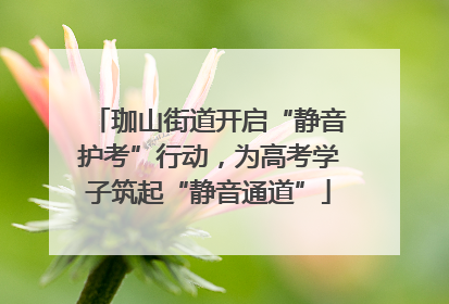 珈山街道开启“静音护考”行动，为高考学子筑起“静音通道”