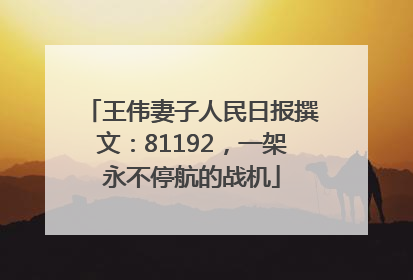 王伟妻子人民日报撰文：81192，一架永不停航的战机