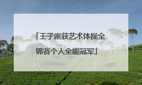 王子露获艺术体操全锦赛个人全能冠军