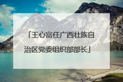 王心富任广西壮族自治区党委组织部部长