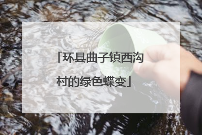 环县曲子镇西沟村的绿色蝶变
