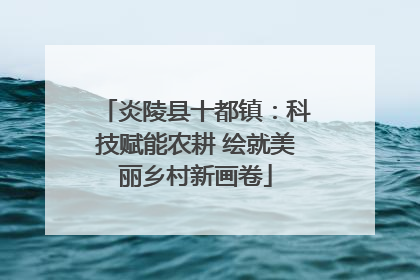 炎陵县十都镇：科技赋能农耕 绘就美丽乡村新画卷