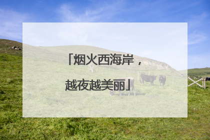 烟火西海岸，越夜越美丽