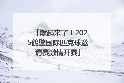 燃起来了！2025鹤壁国际匹克球邀请赛激情开赛