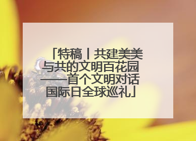 特稿丨共建美美与共的文明百花园——首个文明对话国际日全球巡礼
