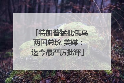 特朗普猛批俄乌两国总统 美媒：迄今最严厉批评