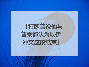 特朗普说他与普京都认为以伊冲突应该结束