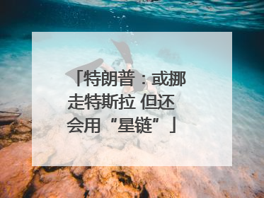 特朗普：或挪走特斯拉 但还会用“星链”