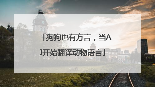 狗狗也有方言，当AI开始翻译动物语言