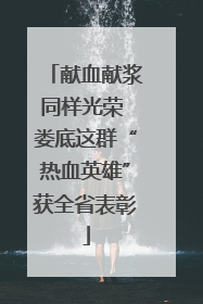 献血献浆同样光荣 娄底这群“热血英雄”获全省表彰
