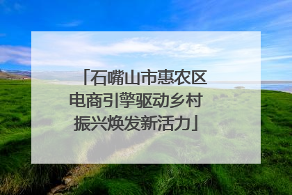 石嘴山市惠农区电商引擎驱动乡村振兴焕发新活力