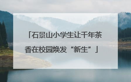 石景山小学生让千年茶香在校园焕发“新生”
