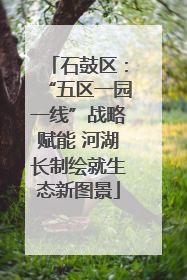 石鼓区：“五区一园一线”战略赋能 河湖长制绘就生态新图景