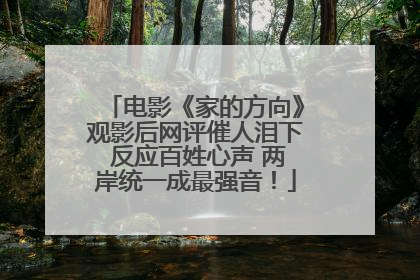 电影《家的方向》观影后网评催人泪下 反应百姓心声 两岸统一成最强音！