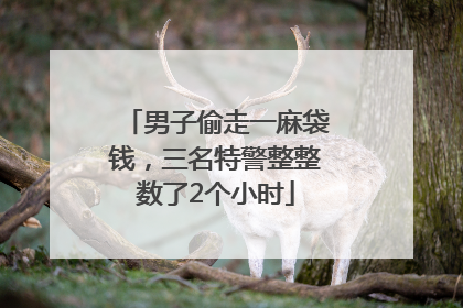 男子偷走一麻袋钱，三名特警整整数了2个小时