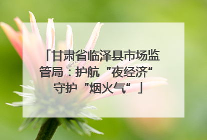 甘肃省临泽县市场监管局：护航“夜经济” 守护“烟火气”