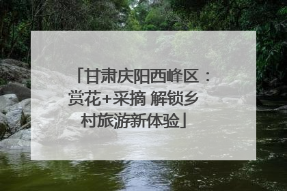 甘肃庆阳西峰区：赏花+采摘 解锁乡村旅游新体验