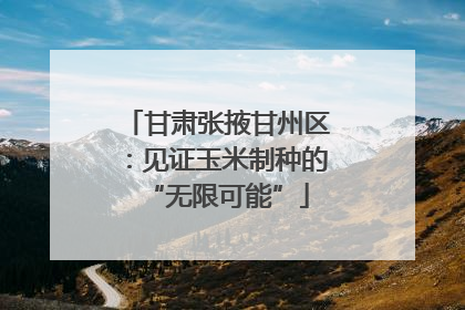 甘肃张掖甘州区：见证玉米制种的“无限可能”