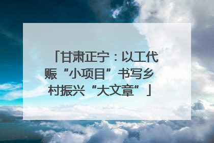 甘肃正宁：以工代赈“小项目”书写乡村振兴“大文章”