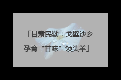 甘肃民勤：戈壁沙乡孕育“甘味”领头羊