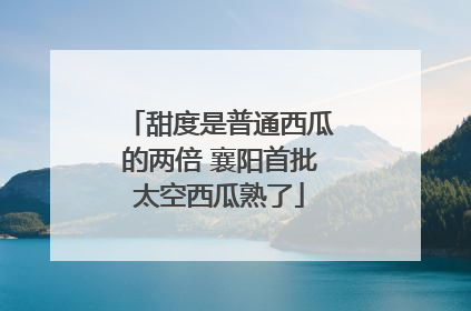 甜度是普通西瓜的两倍 襄阳首批太空西瓜熟了