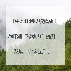 生态红利持续释放丨万峰湖“绿动力”提升发展“含金量”
