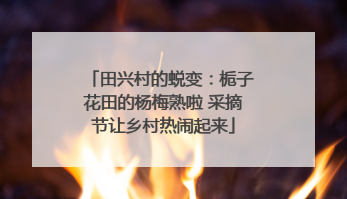 田兴村的蜕变：栀子花田的杨梅熟啦 采摘节让乡村热闹起来