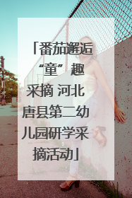 番茄邂逅 “童”趣采摘 河北唐县第二幼儿园研学采摘活动