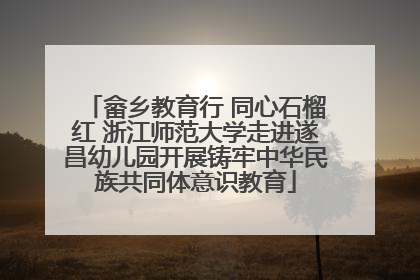 畲乡教育行 同心石榴红 浙江师范大学走进遂昌幼儿园开展铸牢中华民族共同体意识教育