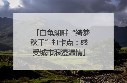 白龟湖畔“绮梦秋千”打卡点：感受城市浪漫温情