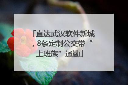 直达武汉软件新城，8条定制公交带“上班族”通勤