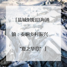 盐城射阳县海通镇：奏响乡村振兴“夏之华章”