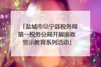 盐城市阜宁县税务局第一税务分局开展廉政警示教育系列活动