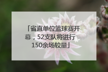 省直单位篮球赛开幕，52支队将进行150余场较量