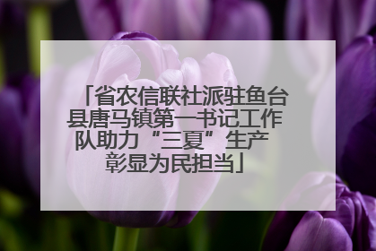 省农信联社派驻鱼台县唐马镇第一书记工作队助力“三夏”生产 彰显为民担当
