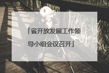 省开放发展工作领导小组会议召开