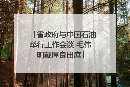 省政府与中国石油举行工作会谈 毛伟明戴厚良出席