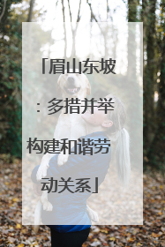 眉山东坡：多措并举构建和谐劳动关系