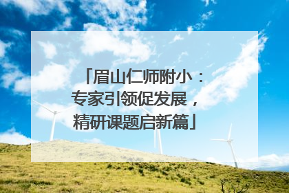 眉山仁师附小：专家引领促发展，精研课题启新篇