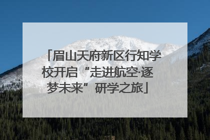 眉山天府新区行知学校开启“走进航空·逐梦未来”研学之旅