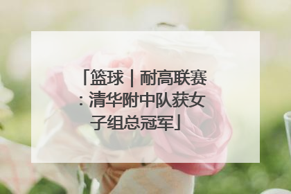 篮球｜耐高联赛：清华附中队获女子组总冠军