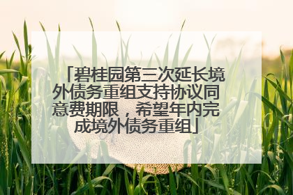 碧桂园第三次延长境外债务重组支持协议同意费期限，希望年内完成境外债务重组