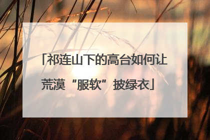祁连山下的高台如何让荒漠“服软”披绿衣