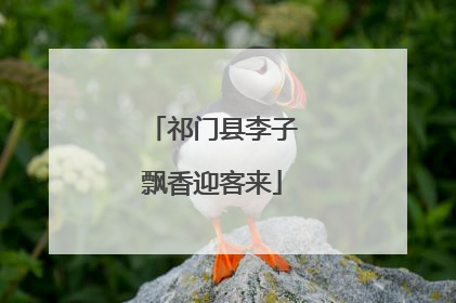 祁门县李子飘香迎客来