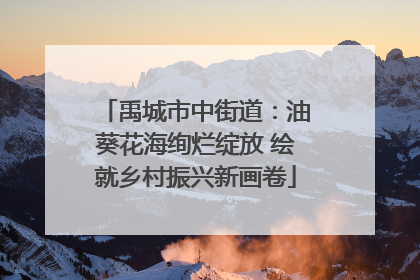 禹城市中街道：油葵花海绚烂绽放 绘就乡村振兴新画卷