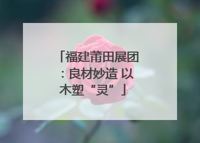 福建莆田展团：良材妙造 以木塑“灵”